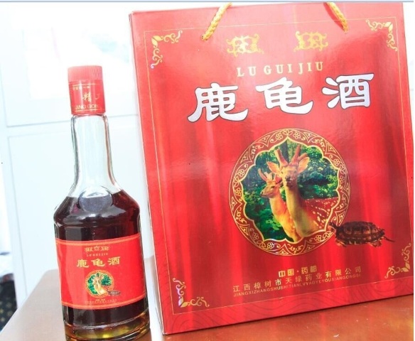 http://www.gzbdxx.com/resource/uploadfile/zh_cn/201603/20160311154556610.jpg